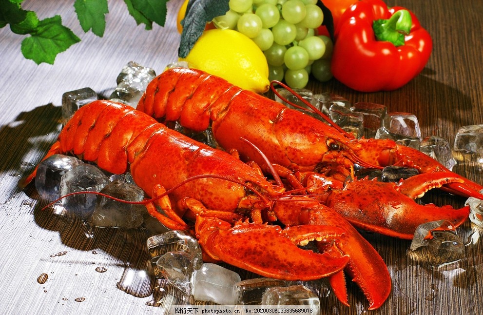 Palinuridae,大虾,龙头虾,虾魁,海虾,虾王,节肢动物,lobster,小龙虾,红螯虾,淡水小龙虾,红色沼泽螯虾,克氏原螯虾,Red,Swamp,Crayfish,jpg,摄影,其他,图片素材,100DPI